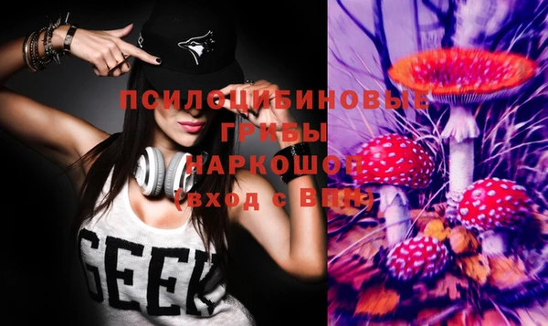 бошки Михайловка