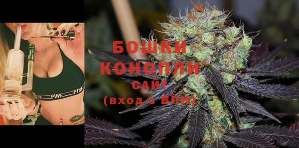 ECSTASY Михайлов