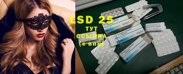 ECSTASY Михайлов
